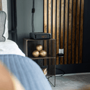 Vaultek Safe® Smart Station (DS2i ViSN)