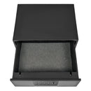 Liberty Safe® HDV-500X Biometric Handgun Vault