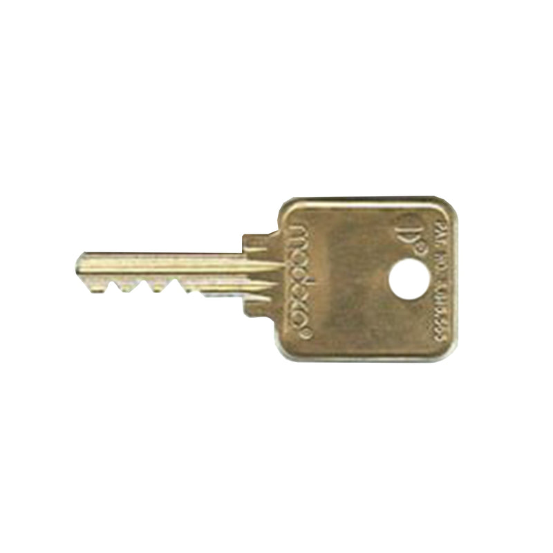 Extra Keys for Fort Knox Mailbox